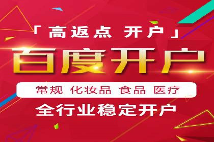 深度解析：百度竞价代理的优化策略与成功案例